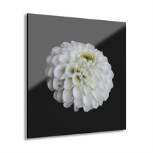 Load image into Gallery viewer, Acrylic Prints (French Cleat Hanging) Single White Flower