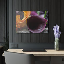 Load image into Gallery viewer, Acrylic Prints (French Cleat Hanging) Calla Lily in Autumn#4