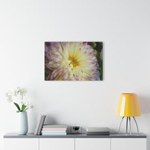 Load image into Gallery viewer, Acrylic Prints (French Cleat Hanging)Sun on my Face