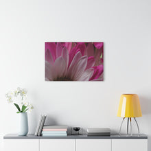 Load image into Gallery viewer, Acrylic Prints (French Cleat Hanging) Pink Petals Le Fluer