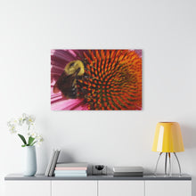 Load image into Gallery viewer, Acrylic Prints (French Cleat Hanging) Title Busy Bee