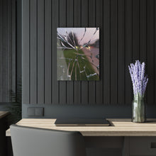 Load image into Gallery viewer, Acrylic Prints (French Cleat Hanging) /Window Cracked