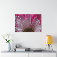 Load image into Gallery viewer, Acrylic Prints (French Cleat Hanging) PERFECTLY PINK