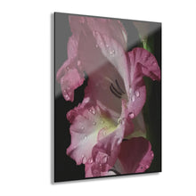 Load image into Gallery viewer, Acrylic Prints (French Cleat Hanging) Raindrops on Petals