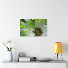 Load image into Gallery viewer, Acrylic Prints (French Cleat Hanging)Spring Petals