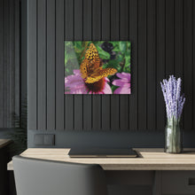 Load image into Gallery viewer, Acrylic Prints (French Cleat Hanging)/Butterfly in Flight