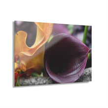 Load image into Gallery viewer, Acrylic Prints (French Cleat Hanging) Calla Lily in Autumn#4