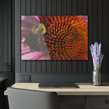 Load image into Gallery viewer, Acrylic Prints (French Cleat Hanging) Title Busy Bee