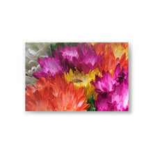 Load image into Gallery viewer, Postcards (10pcs)