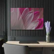 Load image into Gallery viewer, Acrylic Prints Photograph White Flower 004