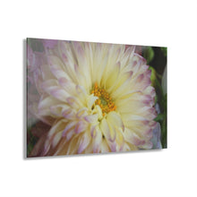 Load image into Gallery viewer, Acrylic Prints (French Cleat Hanging)Sun on my Face
