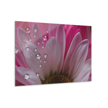 Load image into Gallery viewer, Acrylic Prints (French Cleat Hanging) PERFECTLY PINK
