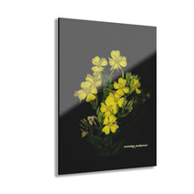 Load image into Gallery viewer, Acrylic Prints (French Cleat Hanging) Evening Primrose
