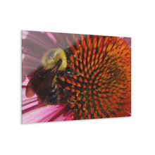Load image into Gallery viewer, Acrylic Prints (French Cleat Hanging) Title Busy Bee
