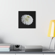 Load image into Gallery viewer, Acrylic Prints (French Cleat Hanging) Single White Flower
