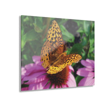 Load image into Gallery viewer, Acrylic Prints (French Cleat Hanging)/Butterfly in Flight
