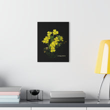 Load image into Gallery viewer, Acrylic Prints (French Cleat Hanging) Evening Primrose

