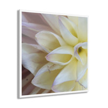 Load image into Gallery viewer, Acrylic Prints (French Cleat Hanging)  White Petals from Heaven
