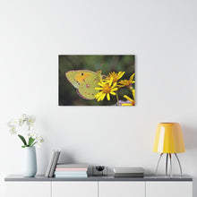 Load image into Gallery viewer, Acrylic Prints (French Cleat Hanging)/Nature in Yellow
