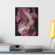 Load image into Gallery viewer, Acrylic Prints (French Cleat Hanging) Raindrops on Petals

