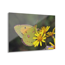 Load image into Gallery viewer, Acrylic Prints (French Cleat Hanging)/Nature in Yellow
