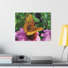 Load image into Gallery viewer, Acrylic Prints (French Cleat Hanging)/Butterfly in Flight
