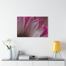 Load image into Gallery viewer, Acrylic Prints Photograph White Flower 004
