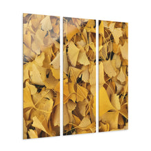 Load image into Gallery viewer, Acrylic Prints (Triptych) Title Ginko in the Fall
