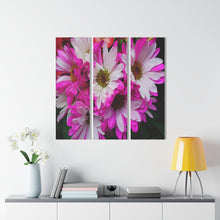 Load image into Gallery viewer, Acrylic Prints (Triptych) Pink Petals
