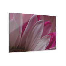 Load image into Gallery viewer, Acrylic Prints Photograph White Flower 004
